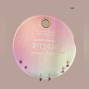 *new* 14K Gold Dipped Pink The Color Chronicles Collection Earring Set